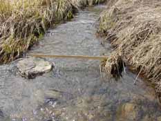 Traver Creek Sample Collection Site, Olson Park, 10 April 2010.